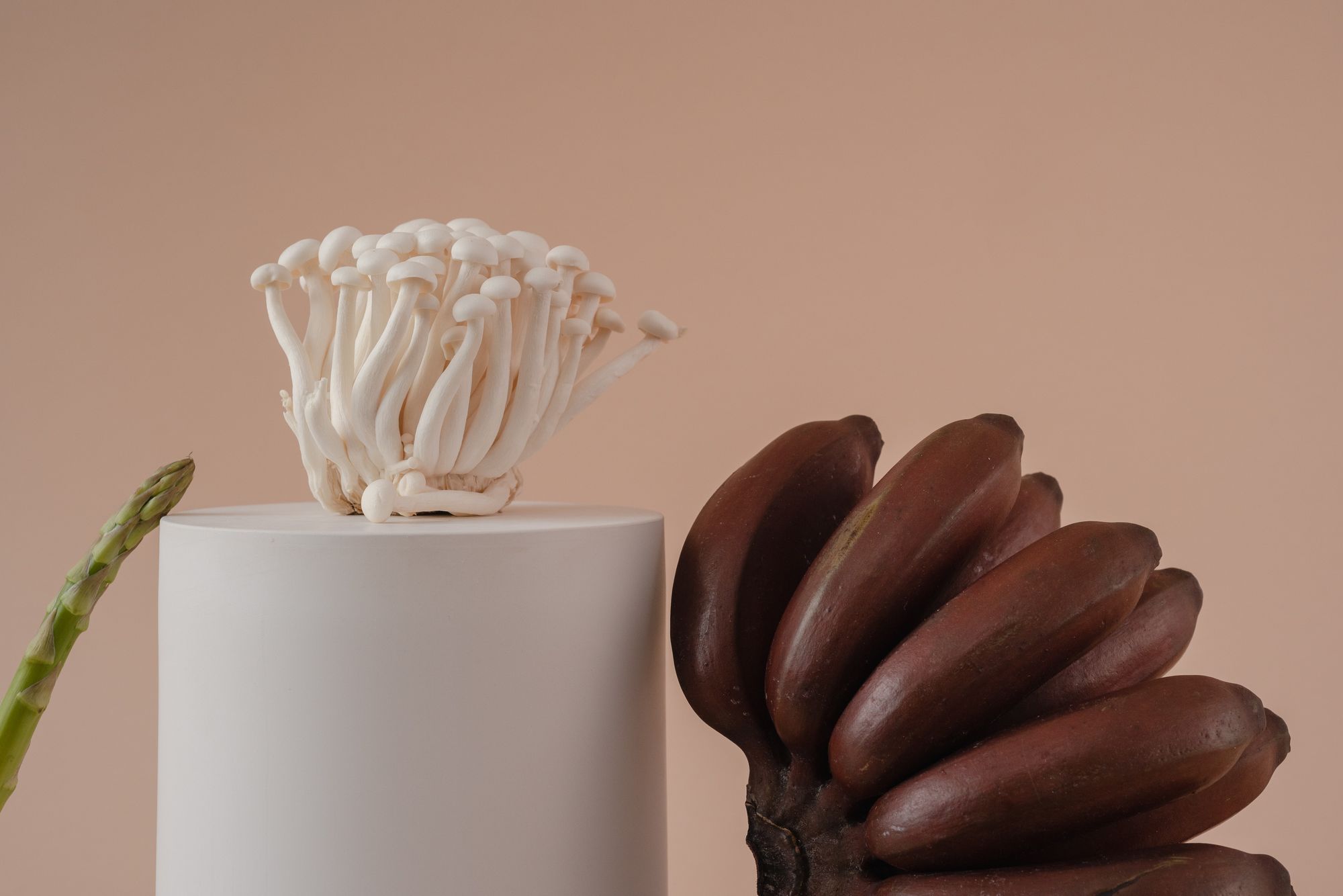 Chocolate Magic Mushroom