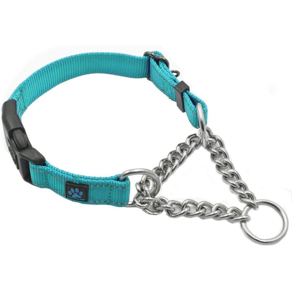 What Collar Is Best For Aggressive Dogs