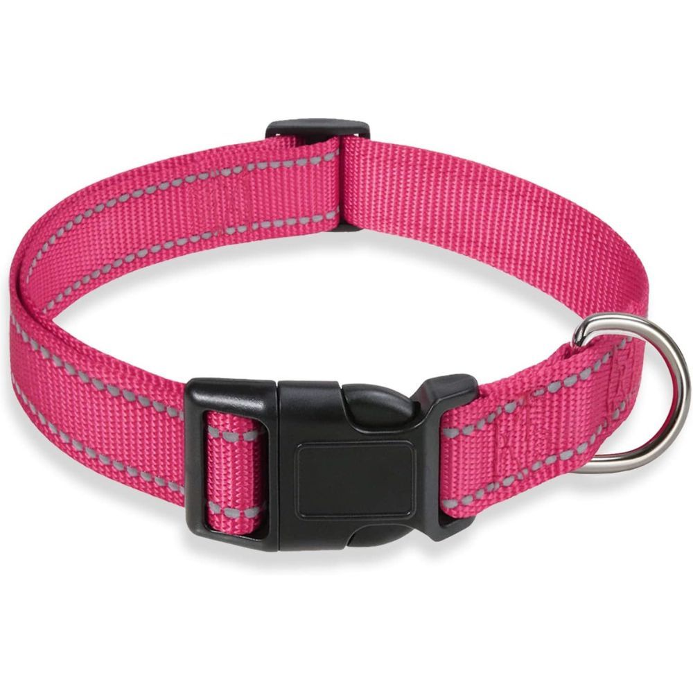 What Collar Is Best For Aggressive Dogs