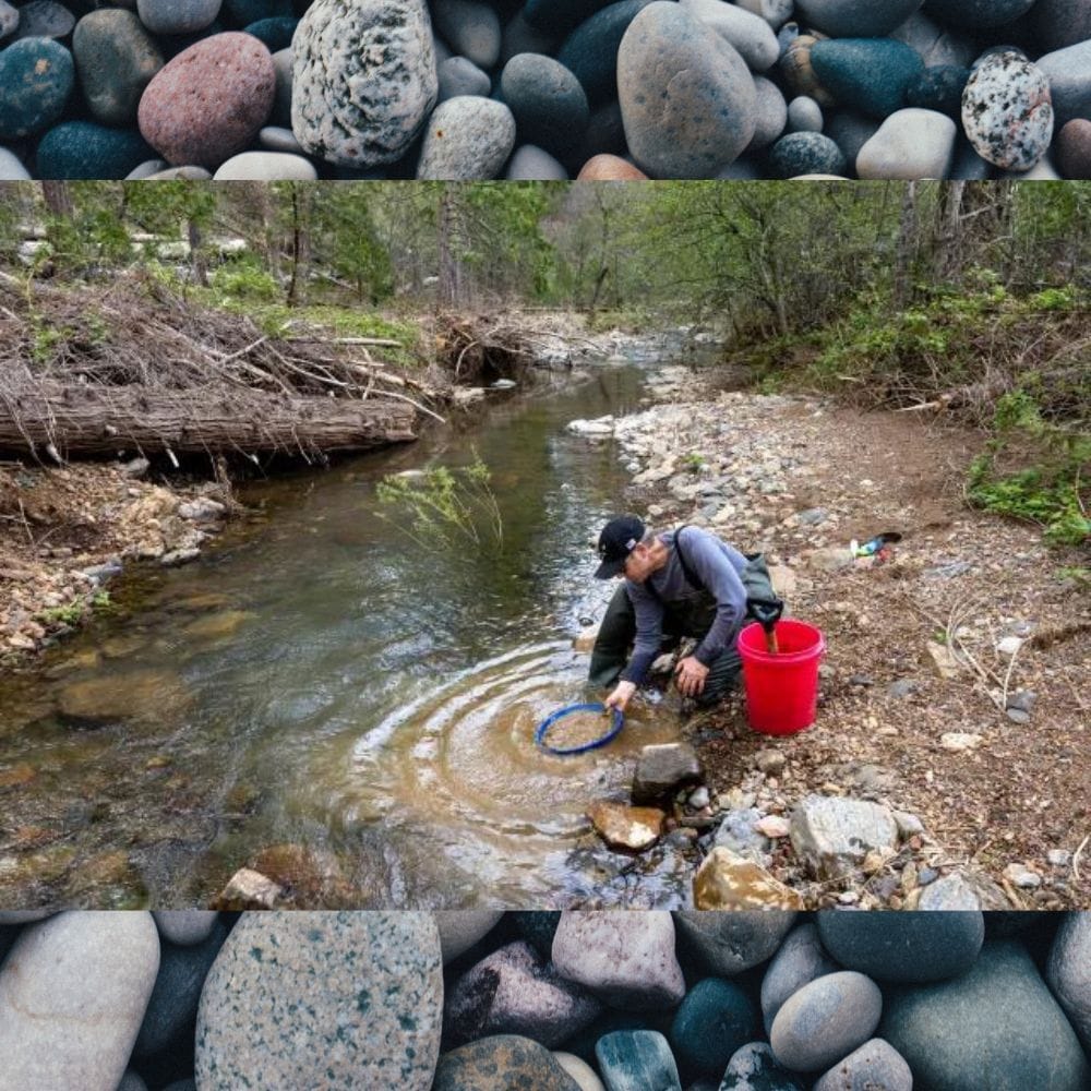 Where to Find Gold in Wyoming