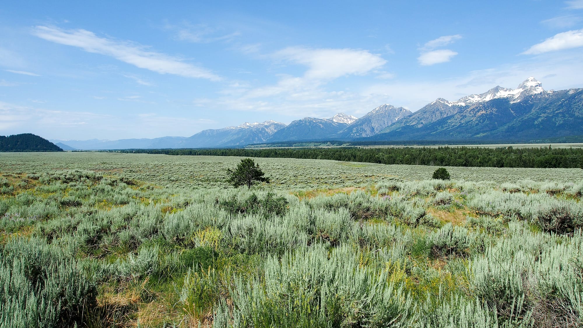 Where to Find Gold in Wyoming