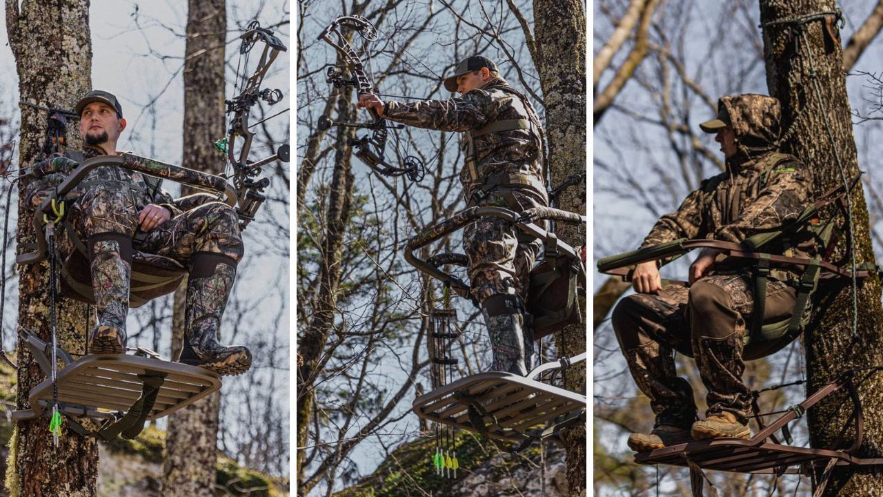 Best Climbing Tree Stand