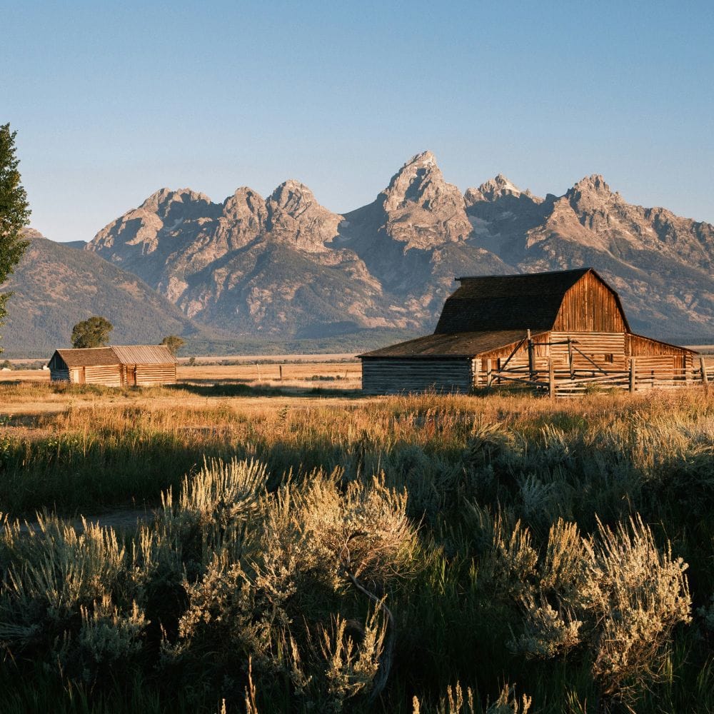 Where to Find Gold in Wyoming